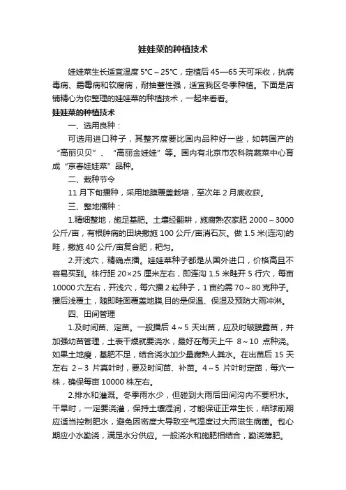 娃娃菜的种植技术