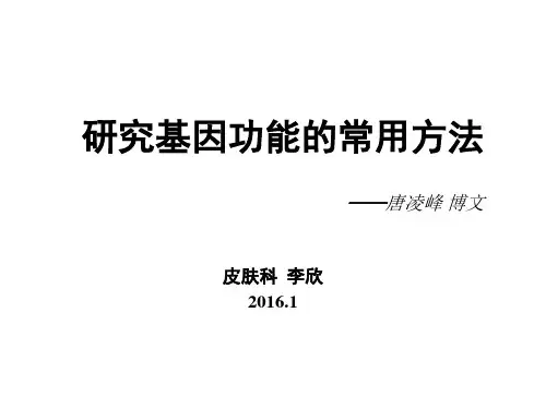 2016.1.12基因功能的常用研究方法