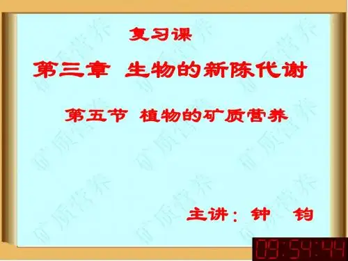 植物的矿质营养