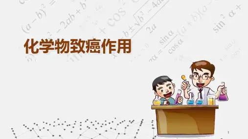 化学物致癌作用机制课件