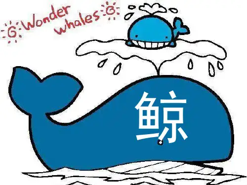 部编版五年级上册语文《鲸》说课教学说课课件教学