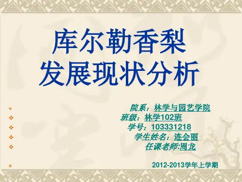 库尔勒香梨发展现状