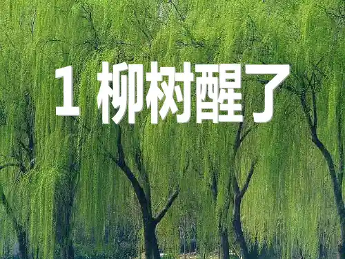 《柳树醒了》PPT教材课件