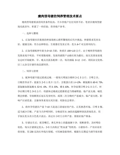 瘦肉型母猪的饲养管理技术要点