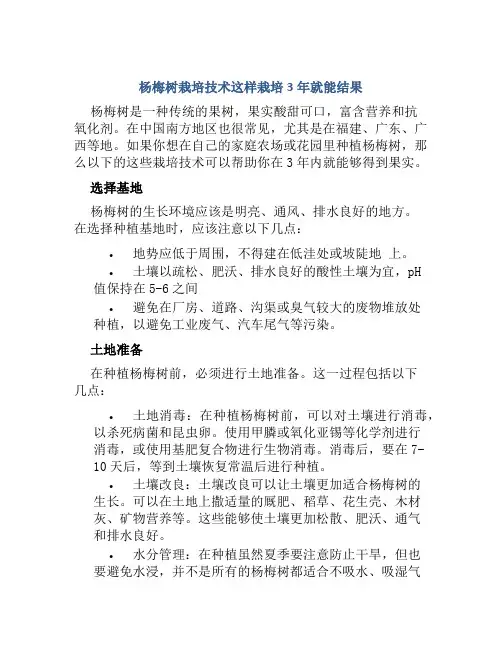 杨梅树栽培技术这样栽培3年就能结果