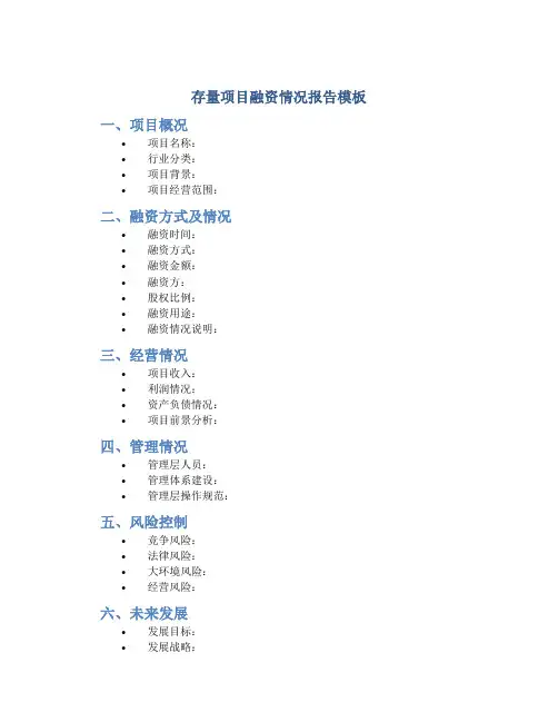 存量项目融资情况报告模板