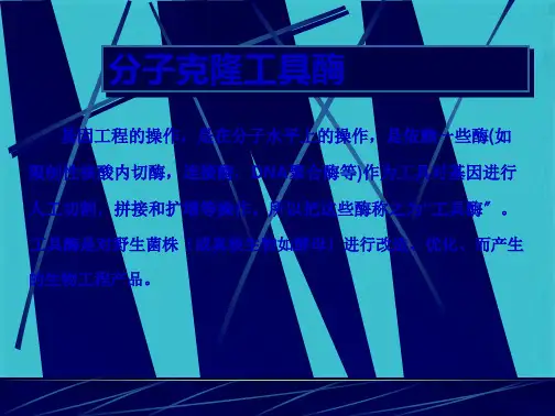 第二章 分子克隆工具酶(共73张PPT)