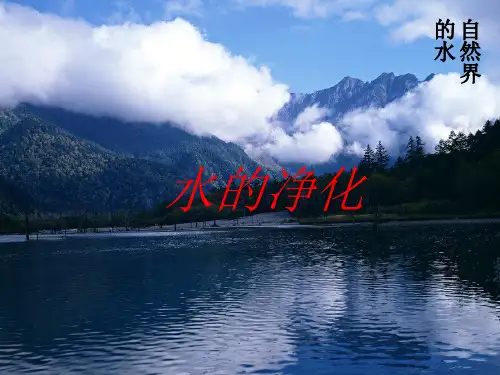4.2化学上册水的净化ppt