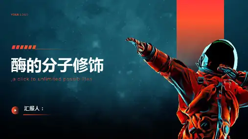 《酶的分子修饰》课件 