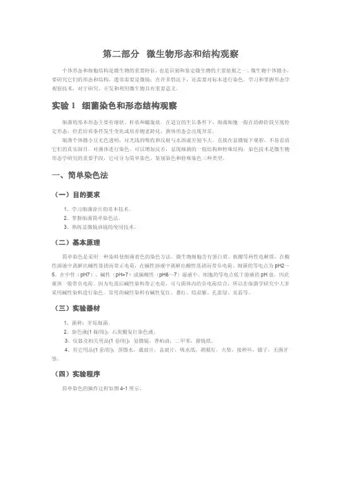 微生物形态和结构观察