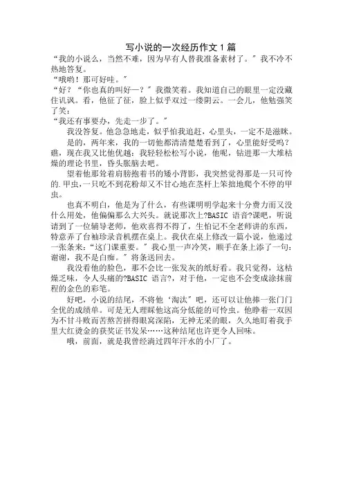 中小学精选写小说的一次经历作文