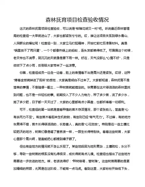 森林抚育项目检查验收情况