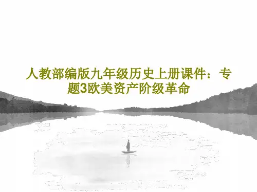 人教部编版九年级历史上册课件：专题3欧美资产阶级革命23页PPT