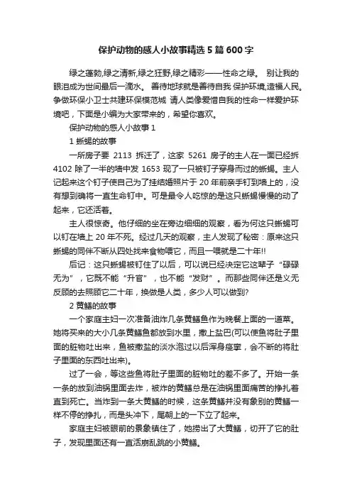 保护动物的感人小故事精选5篇600字