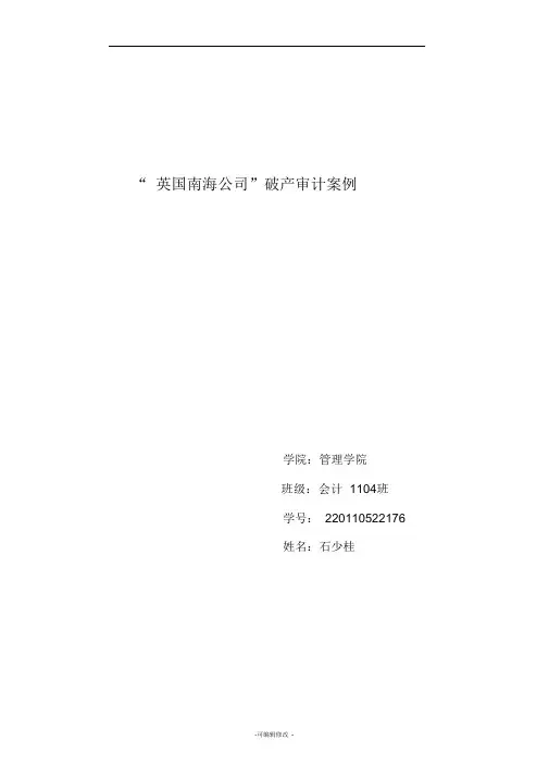 南海公司案例分析审计作业