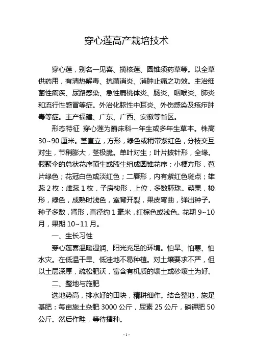 穿心莲高产栽培技术