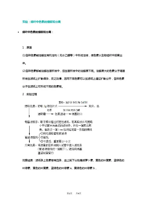 高中生物绿叶中色素的提取和分离_绿叶中色素的分离原理实验要点及注意事项