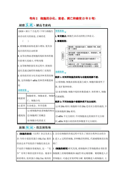 高考生物二轮复习第一篇专题3考向2细胞的分化衰老凋亡和癌变学案