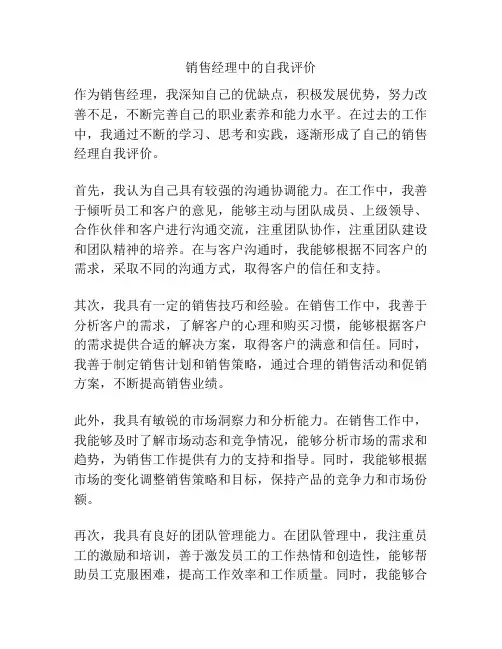 销售经理中的自我评价