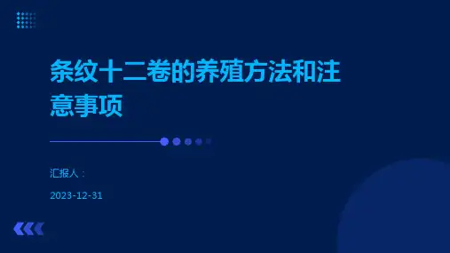 条纹十二卷的养殖方法和注意事项