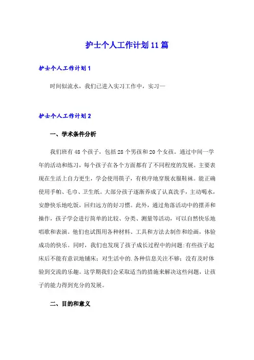 护士个人工作计划11篇