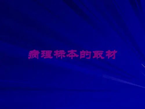 病理标本的取材培训课件