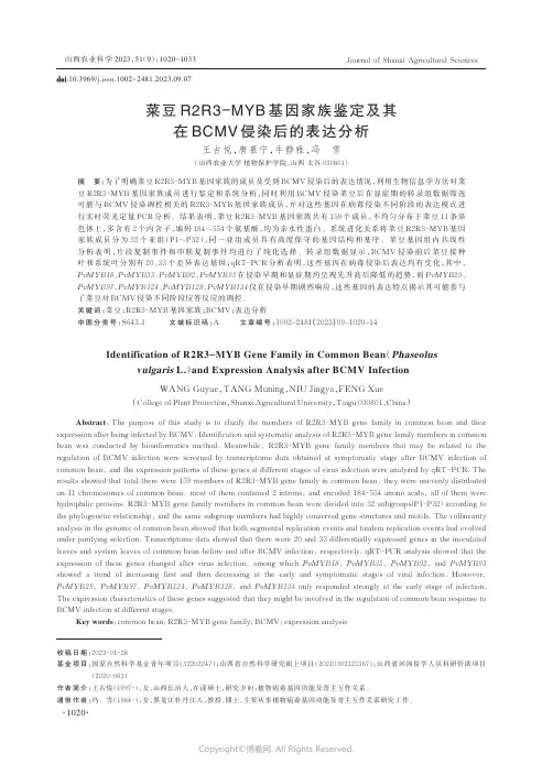 菜豆R2R3-MYB_基因家族鉴定及其在BCMV_侵染后的表达分析
