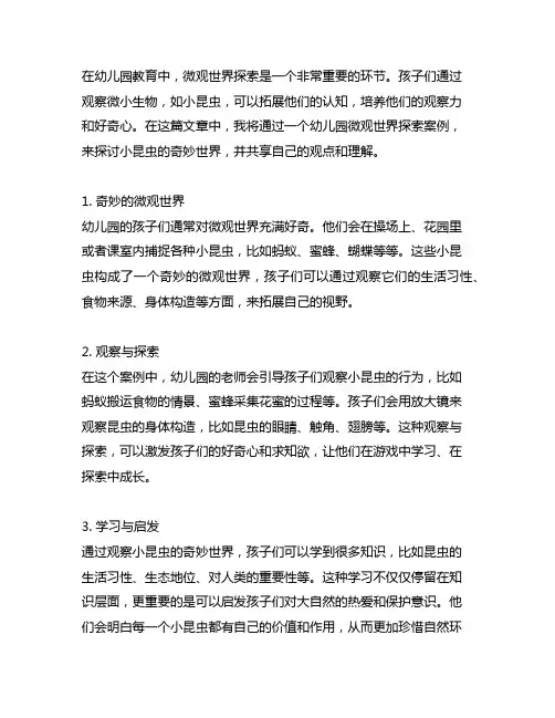 幼儿园微观世界探索案例：小昆虫的奇妙世界