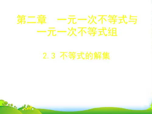 北师大版八年级数学下册第二章《不等式的解集》优质课课件 (2)