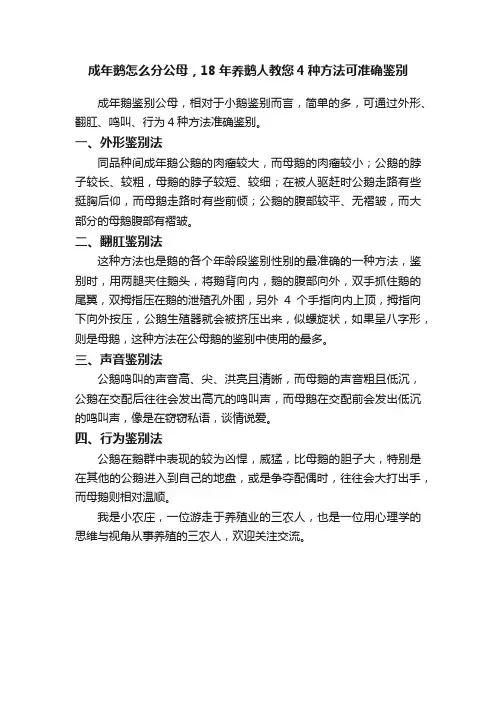 成年鹅怎么分公母，18年养鹅人教您4种方法可准确鉴别
