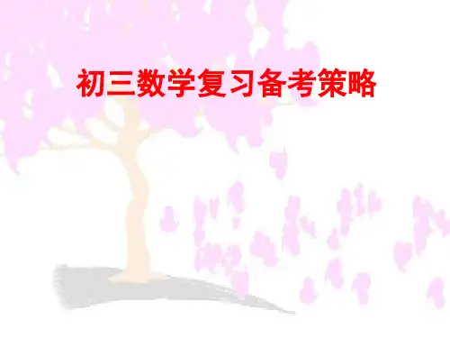 初三数学复习备考策略.ppt