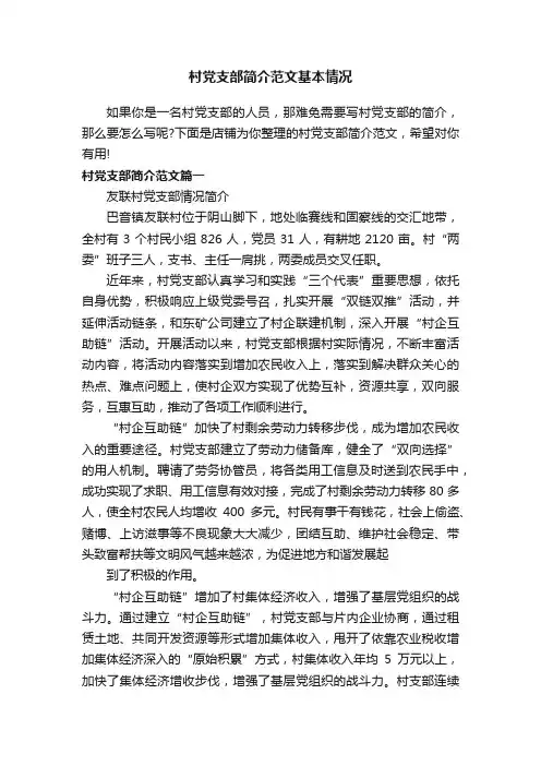村党支部简介范文基本情况