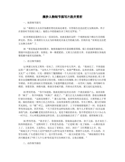 摘抄人物细节描写片段并赏析
