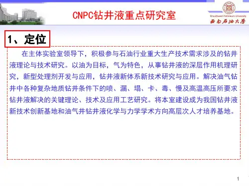 西南石油大学特色堵漏技术能源化工工程科技专业资料