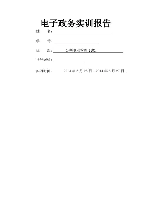 电子政务实训报告