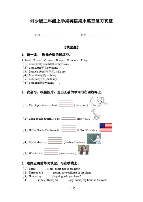 湘少版三年级上学期英语期末整理复习真题