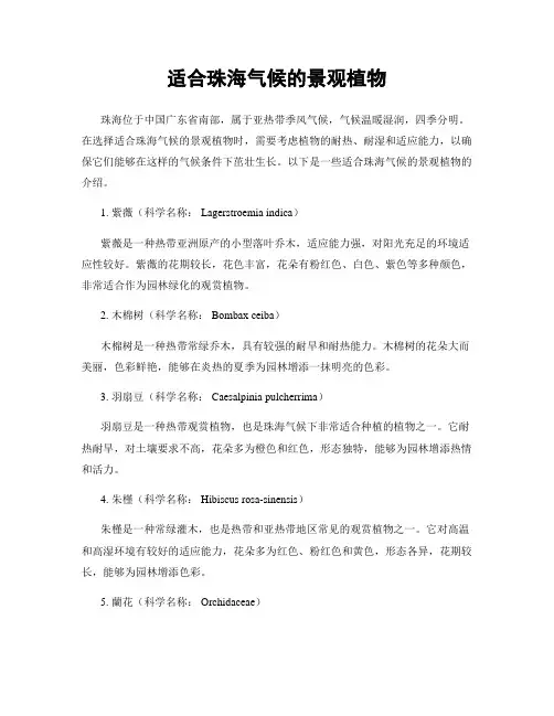 适合珠海气候的景观植物