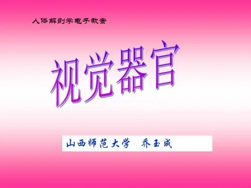 感觉器官-眼