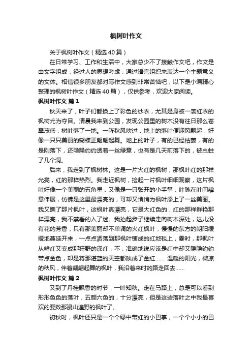 关于枫树叶作文（精选40篇）