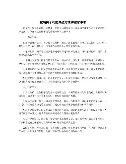 盆装栀子花的养殖方法和注意事项