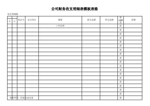 公司财务收支明细表模板表格