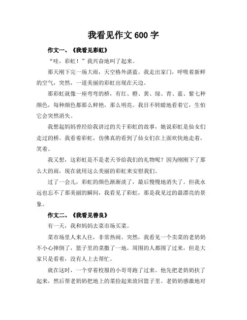 我看见XX作文600字
