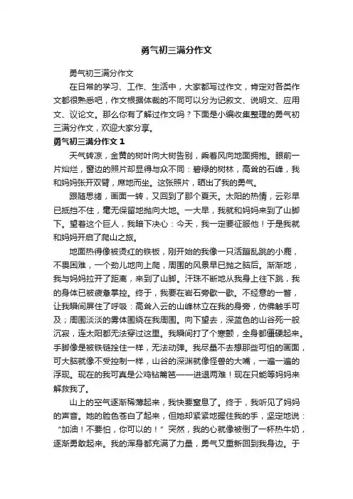 勇气初三满分作文