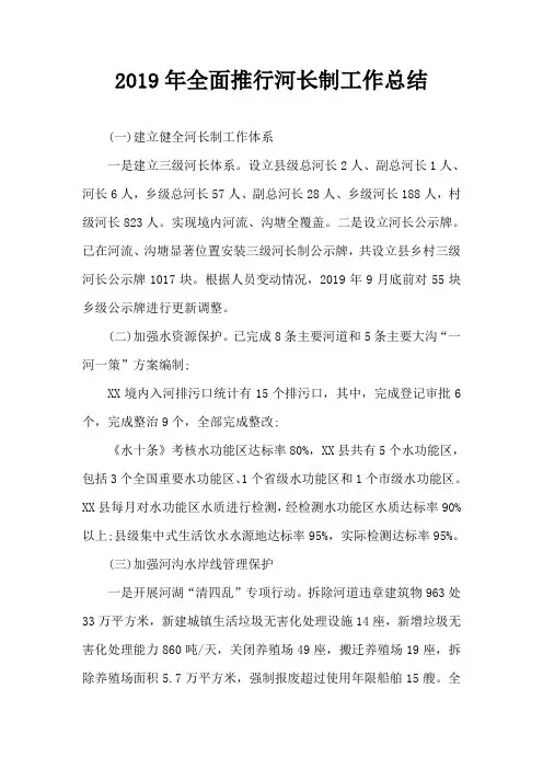 2019年全面推行河长制工作总结