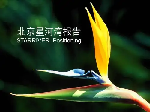营销——星河湾营销推广报告