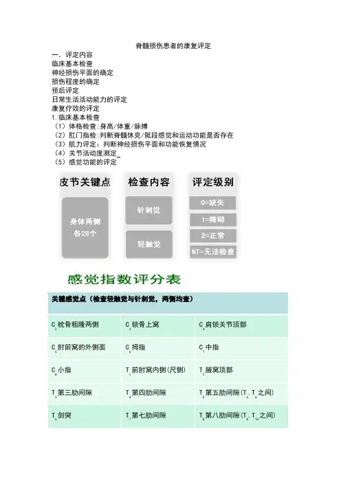脊髓损伤的评定