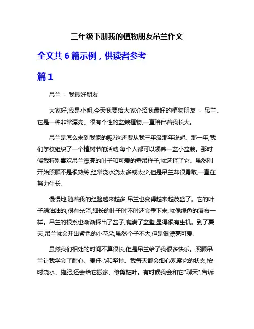 三年级下册我的植物朋友吊兰作文
