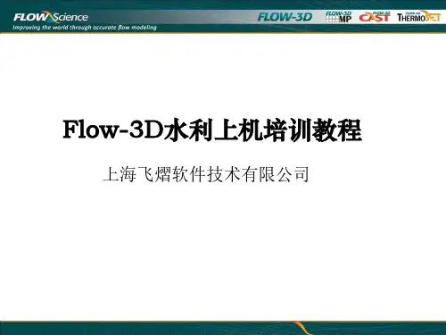 FLOW D水利工程详细案例教程