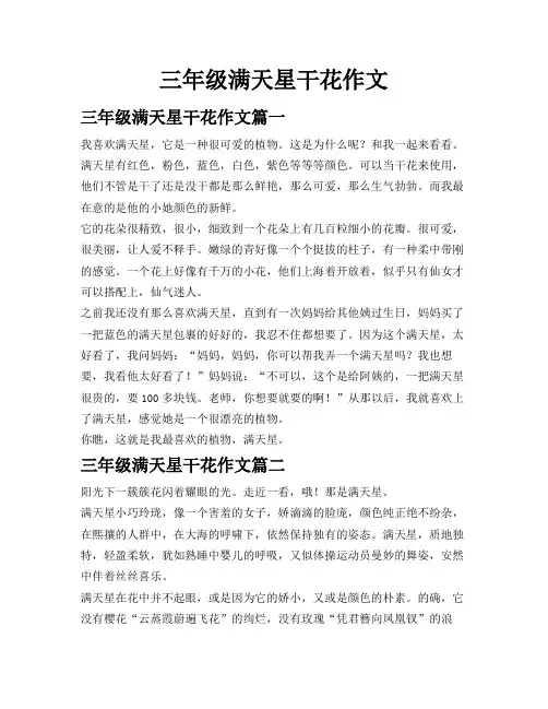 三年级满天星干花作文