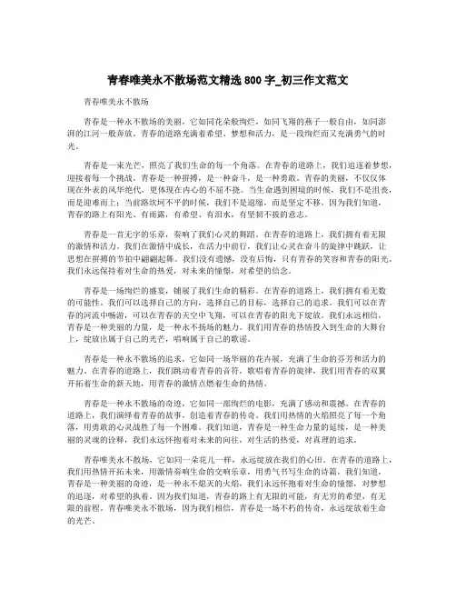 青春唯美永不散场范文精选800字_初三作文范文